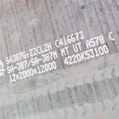 Pressure Vessel Plate